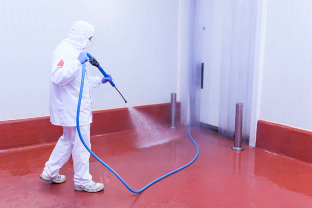 Best Graffiti Removal  in Wallace, FL