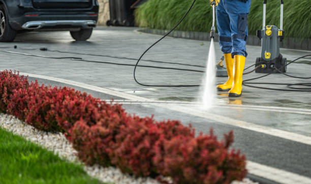 Best Soft Washing  in Wallace, FL